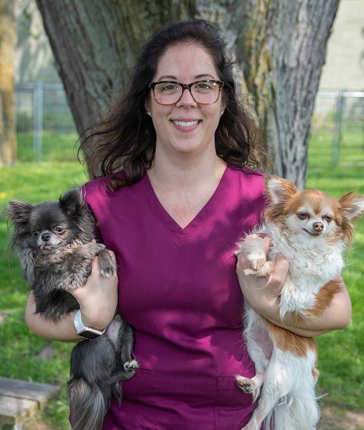Dr. Heather Wilsing, DVM | Sheboygan Animal Hospital